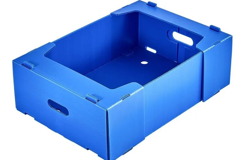 ~!phoenix_varIMG12!~