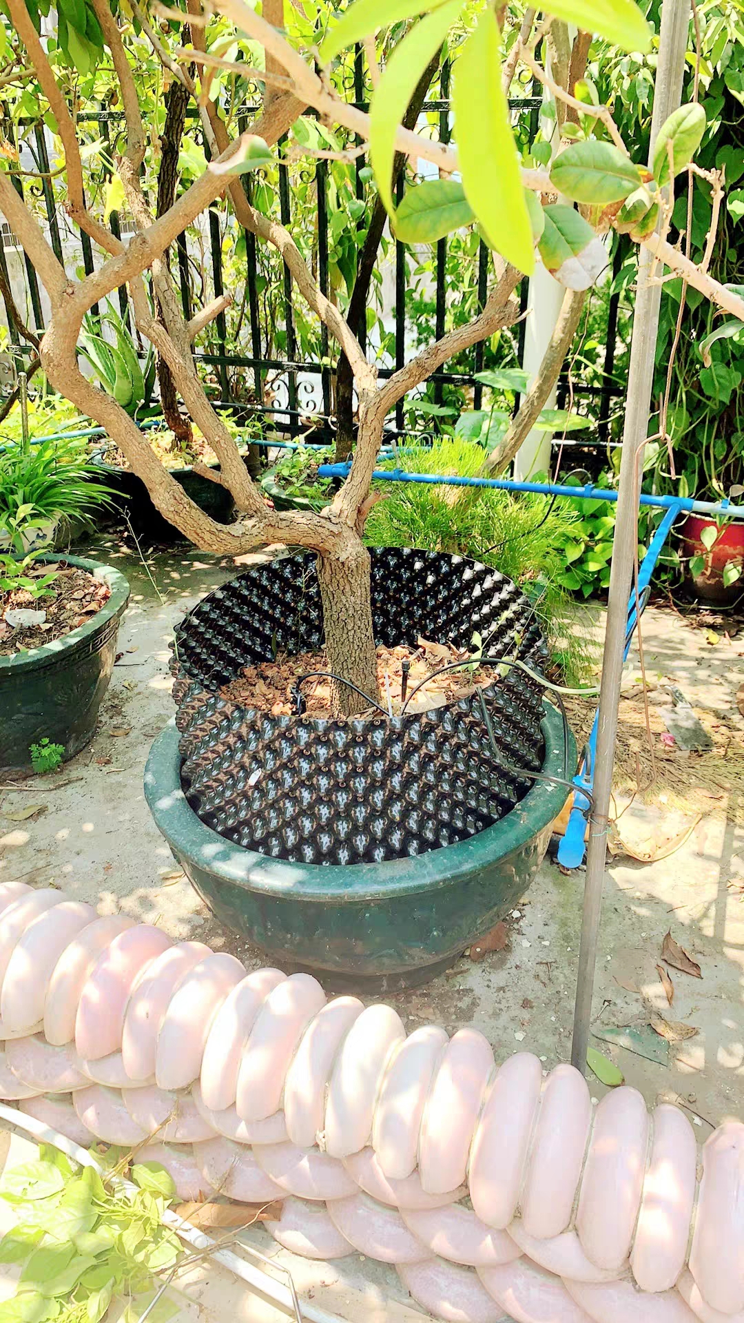 фото_20260302214024_90_24